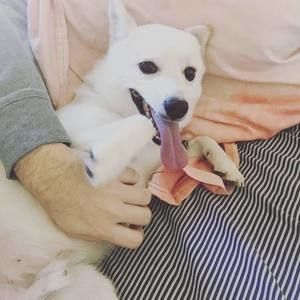 Meet your Posher, Jacob